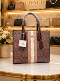 Premium Brown Striped Monogram Large Tote Bag for Women in Pakistan | Bagzar